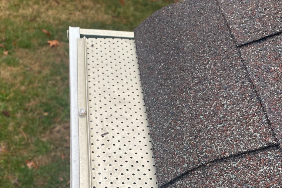 Gutter Cleaning Kenner